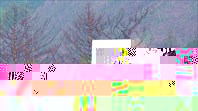 30 (01)